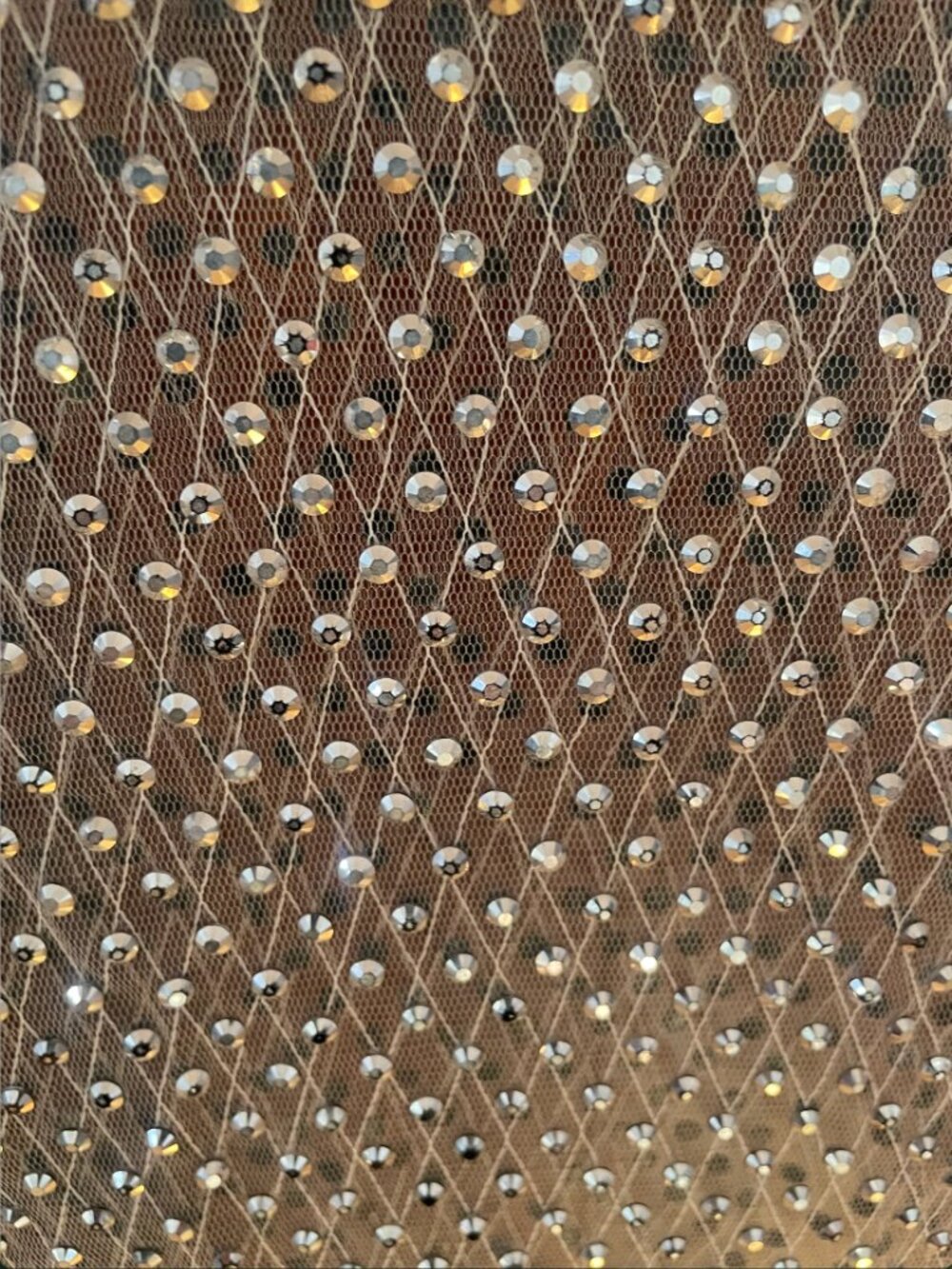 Sheer Rhinestone Mesh Crop Top - Picture 4 of 5